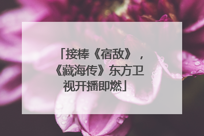 接棒《宿敌》，《藏海传》东方卫视开播即燃