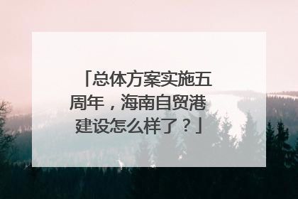 总体方案实施五周年，海南自贸港建设怎么样了？