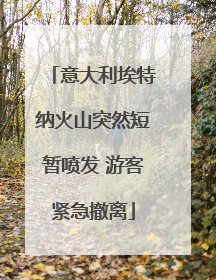 意大利埃特纳火山突然短暂喷发 游客紧急撤离