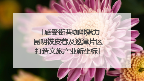 感受街巷咖啡魅力 昆明铁皮巷及巡津片区打造文旅产业新坐标