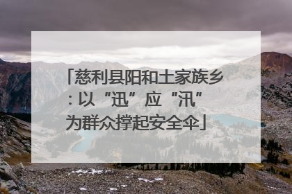 慈利县阳和土家族乡：以“迅”应“汛” 为群众撑起安全伞