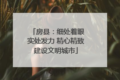 房县：细处着眼 实处发力 精心精致建设文明城市