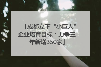 成都立下“小巨人”企业培育目标：力争三年新增350家