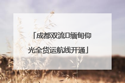成都双流⇌缅甸仰光全货运航线开通
