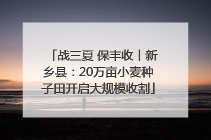 战三夏 保丰收丨新乡县：20万亩小麦种子田开启大规模收割