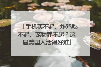 手机买不起、炸鸡吃不起、宠物养不起？这届美国人活得好难