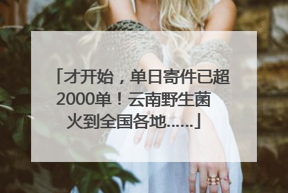才开始，单日寄件已超2000单！云南野生菌火到全国各地……