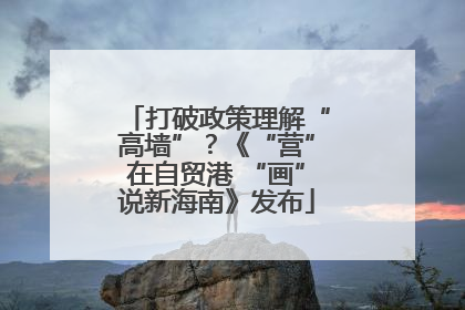 打破政策理解“高墙”？《“营”在自贸港 “画”说新海南》发布