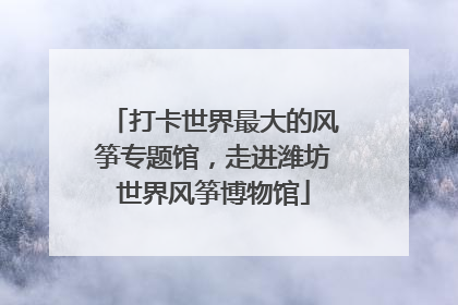 打卡世界最大的风筝专题馆，走进潍坊世界风筝博物馆