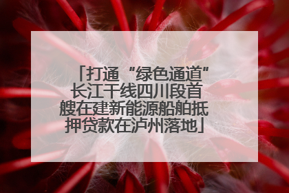 打通“绿色通道” 长江干线四川段首艘在建新能源船舶抵押贷款在泸州落地