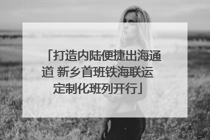 打造内陆便捷出海通道 新乡首班铁海联运定制化班列开行