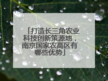 打造长三角农业科技创新策源地，南京国家农高区有哪些优势