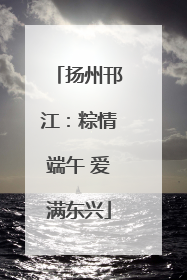 扬州邗江：粽情端午 爱满东兴
