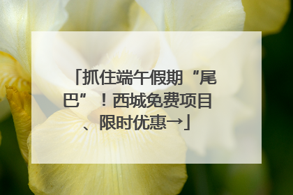 抓住端午假期“尾巴”！西城免费项目、限时优惠→