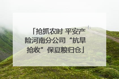 抢抓农时 平安产险河南分公司“抗旱抢收”保夏粮归仓