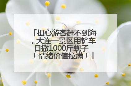 担心游客赶不到海，大连一景区用铲车日撒1000斤蚬子！情绪价值拉满！
