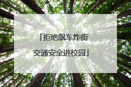 拒绝飙车炸街 交通安全进校园