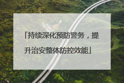 持续深化预防警务，提升治安整体防控效能