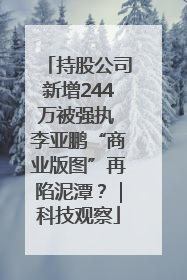 持股公司新增244万被强执 李亚鹏“商业版图”再陷泥潭？｜科技观察