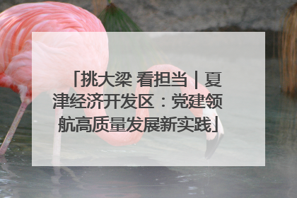 挑大梁 看担当｜夏津经济开发区：党建领航高质量发展新实践