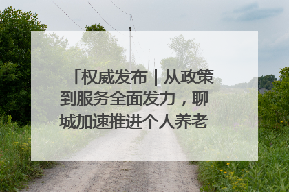 权威发布｜从政策到服务全面发力，聊城加速推进个人养老金制度落地