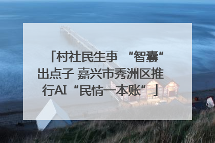 村社民生事 “智囊”出点子 嘉兴市秀洲区推行AI“民情一本账”