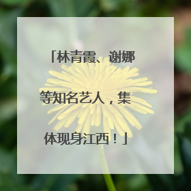 林青霞、谢娜等知名艺人，集体现身江西！