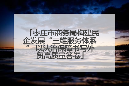 枣庄市商务局构建民企发展“三维服务体系” 以法治保障书写外贸高质量答卷