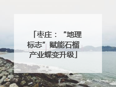 枣庄：“地理标志”赋能石榴产业蝶变升级