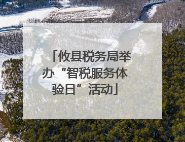 攸县税务局举办“智税服务体验日”活动