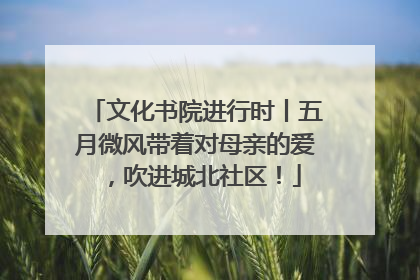 文化书院进行时丨五月微风带着对母亲的爱，吹进城北社区！