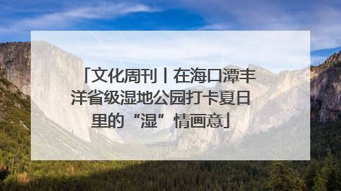 文化周刊丨在海口潭丰洋省级湿地公园打卡夏日里的“湿”情画意