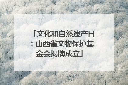 文化和自然遗产日：山西省文物保护基金会揭牌成立
