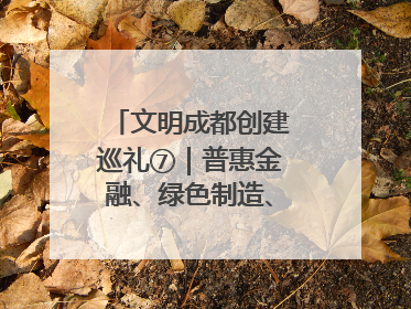 文明成都创建巡礼⑦｜普惠金融、绿色制造、公益助学展现城市文明底色
