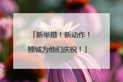 新举措！新动作！鲤城为他们庆祝！