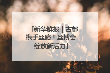 新华鲜报｜古都携手丝路！丝博会绽放新活力