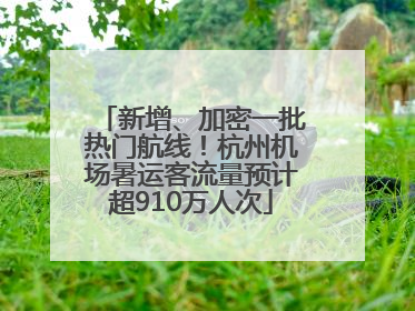 新增、加密一批热门航线！杭州机场暑运客流量预计超910万人次