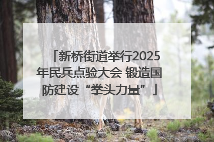 新桥街道举行2025年民兵点验大会 锻造国防建设“拳头力量”