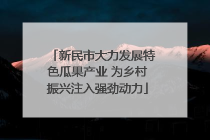 新民市大力发展特色瓜果产业 为乡村振兴注入强劲动力