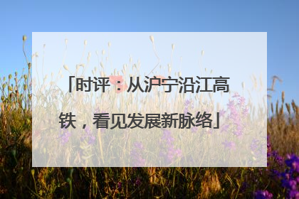 时评：从沪宁沿江高铁，看见发展新脉络