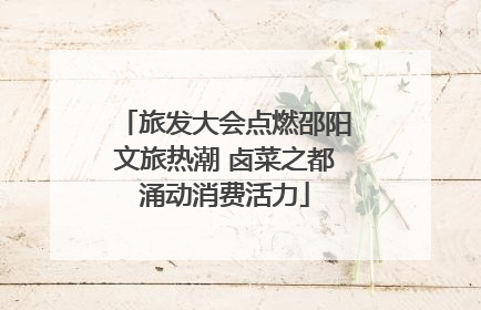旅发大会点燃邵阳文旅热潮 卤菜之都涌动消费活力