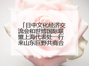 日中文化经济交流会和世博国际联盟上海代表处一行来山东巨野共商合作新机遇