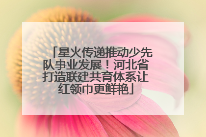 星火传递推动少先队事业发展！河北省打造联建共育体系让红领巾更鲜艳