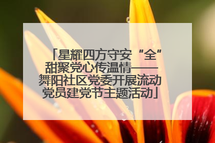 星耀四方守安“全” 甜聚党心传温情——舞阳社区党委开展流动党员建党节主题活动