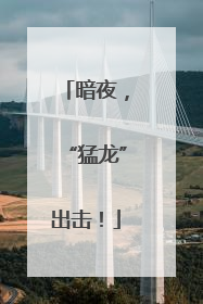 暗夜，“猛龙”出击！