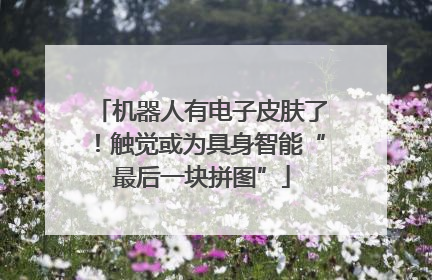 机器人有电子皮肤了！触觉或为具身智能“最后一块拼图”