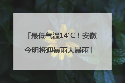 最低气温14℃！安徽今明将迎暴雨大暴雨