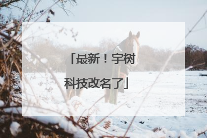 最新！宇树科技改名了