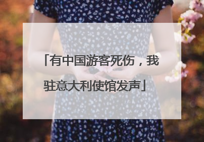 有中国游客死伤，我驻意大利使馆发声