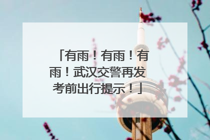 有雨！有雨！有雨！武汉交警再发考前出行提示！